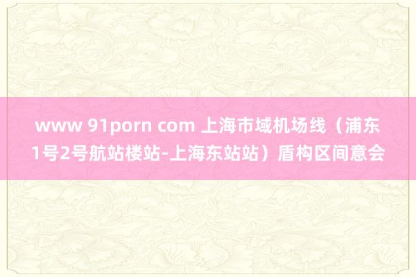 www 91porn com 上海市域机场线（浦东1号2号航站楼站-上海东站站）盾构区间意会