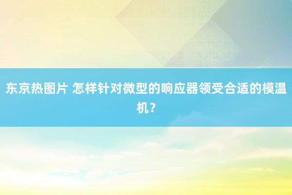 东京热图片 怎样针对微型的响应器领受合适的模温机？