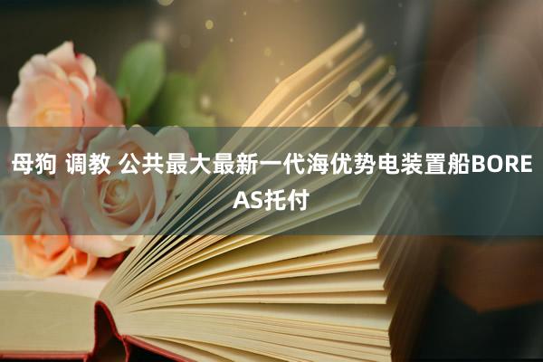 母狗 调教 公共最大最新一代海优势电装置船BOREAS托付