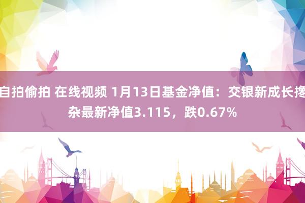 自拍偷拍 在线视频 1月13日基金净值：交银新成长搀杂最新净值3.115，跌0.67%