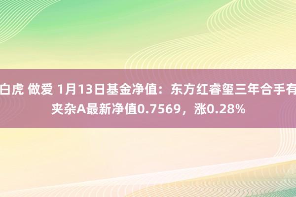 白虎 做爱 1月13日基金净值：东方红睿玺三年合手有夹杂A最新净值0.7569，涨0.28%