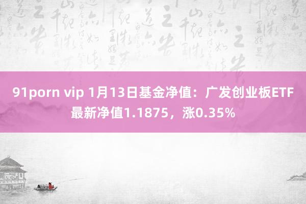 91porn vip 1月13日基金净值：广发创业板ETF最新净值1.1875，涨0.35%