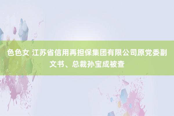 色色女 江苏省信用再担保集团有限公司原党委副文书、总裁孙宝成被查