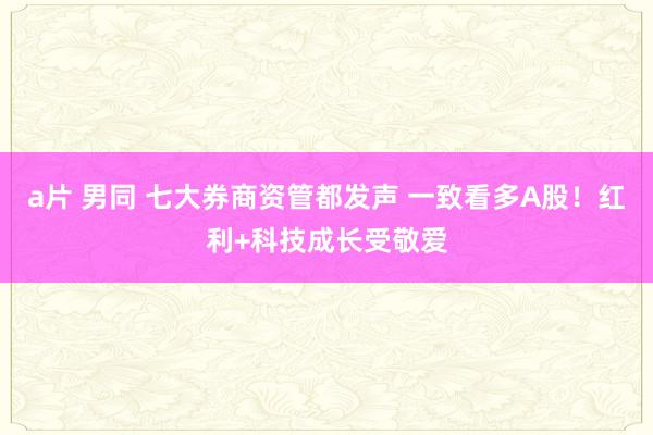 a片 男同 七大券商资管都发声 一致看多A股！红利+科技成长受敬爱