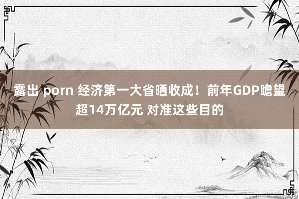 露出 porn 经济第一大省晒收成！前年GDP瞻望超14万亿元 对准这些目的