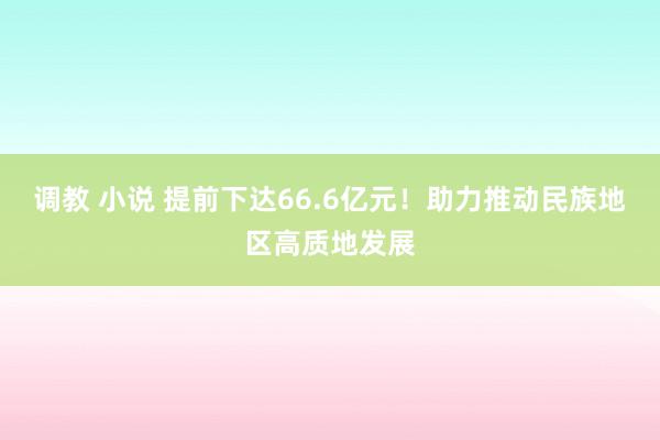 调教 小说 提前下达66.6亿元！助力推动民族地区高质地发展