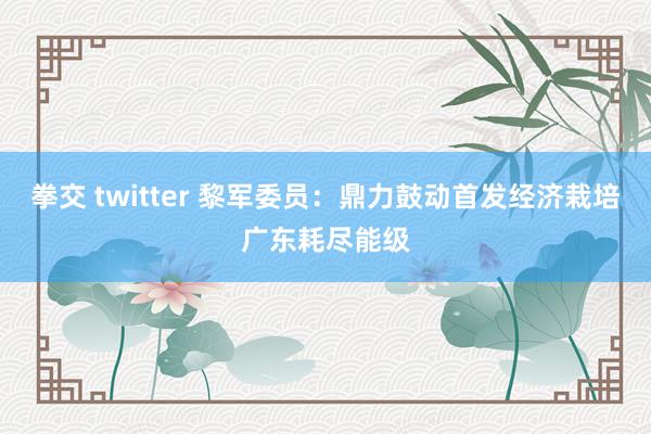 拳交 twitter 黎军委员：鼎力鼓动首发经济栽培广东耗尽能级